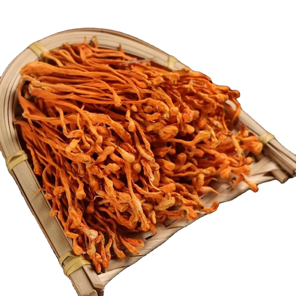 Китайские цветы Cordyceps militaris китайская гусеница