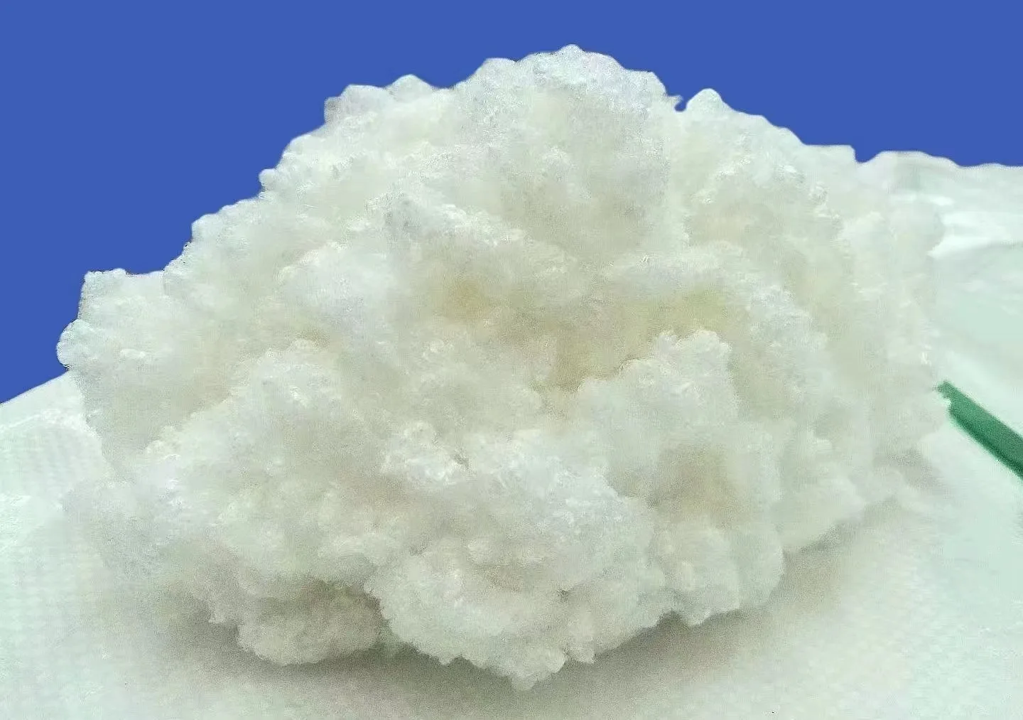 Wholesale Premium 3D Polyester Fiber Filled PP Cotton Stuffing Premium Product Genre Staple Fiber Raw Pattern Hollow Style Use