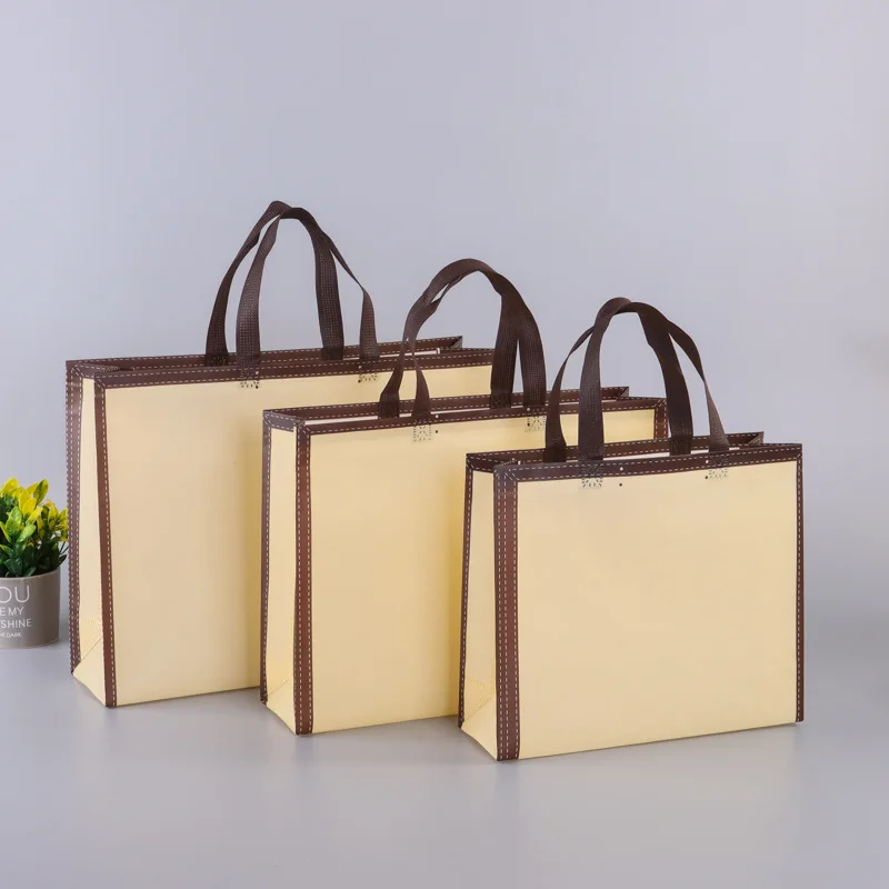 Direct Sale Fashion Environmental Friendly Customize Eco-Friendly Non - Woven Fabric Foldable Bags
