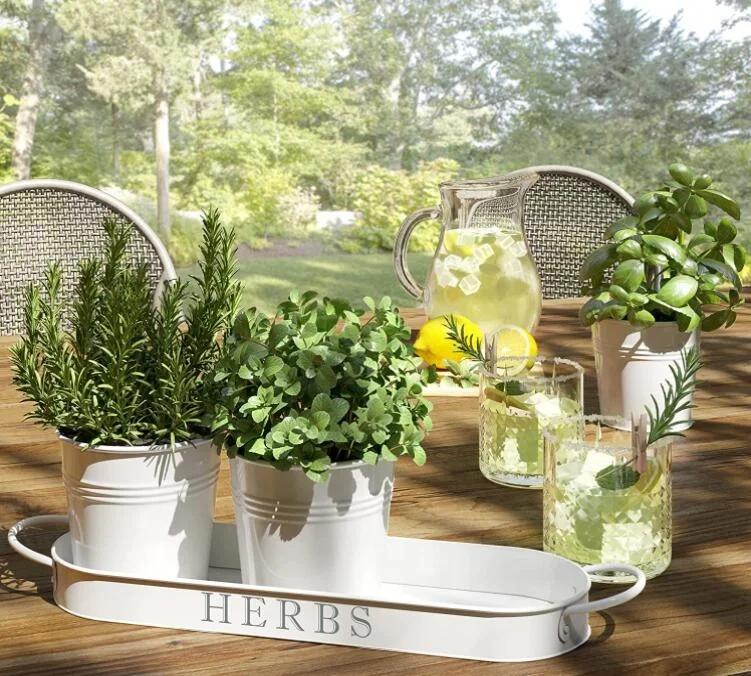 Garden Galvanized Indoor Flower Pot Set Kitchen Herb Pots Planter With Tray