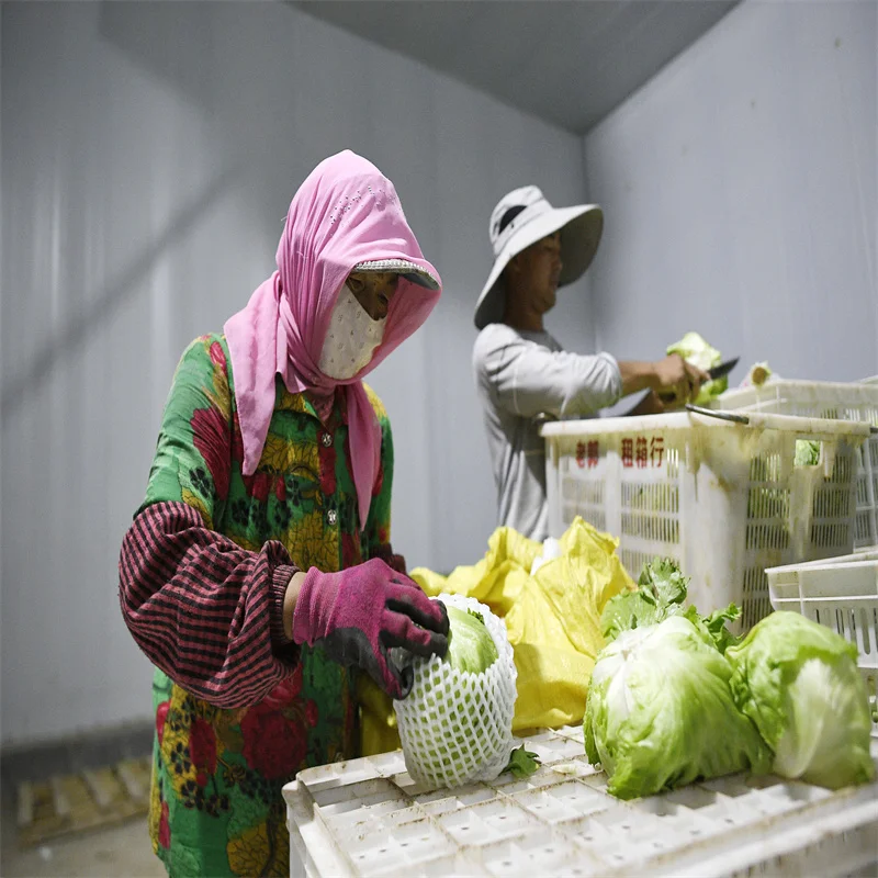 Extendable FreshCommercial Custom Sea Fish Fruits Cold Storage Room Container Refrigerator  Refrigeration Equipment Freezer