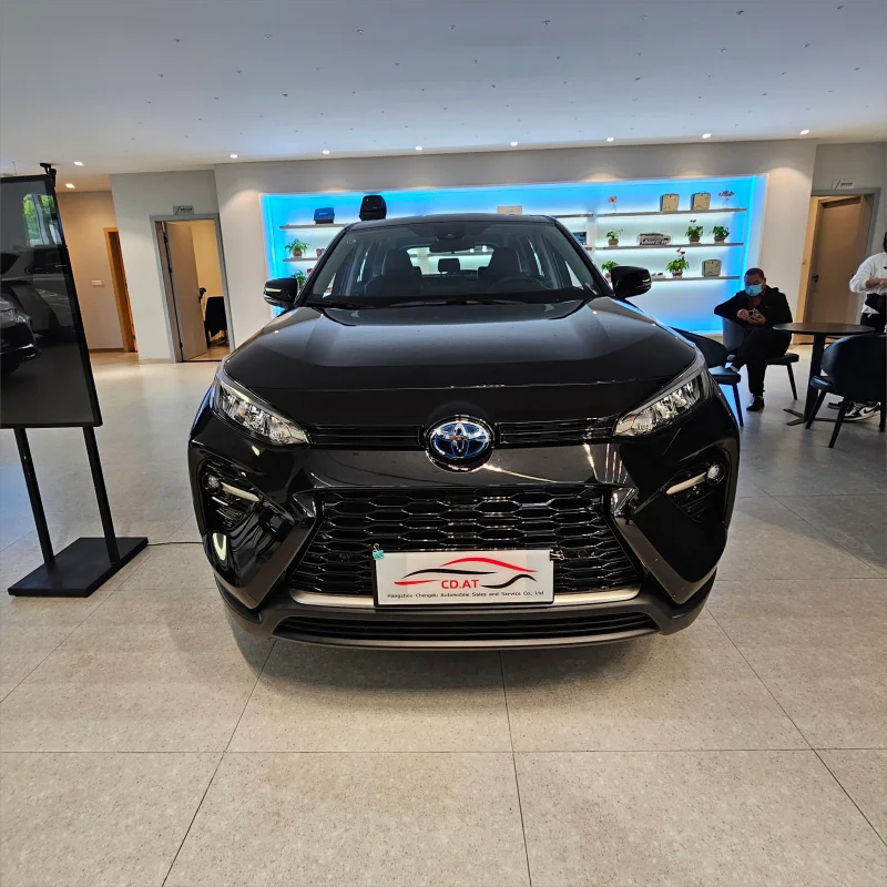 2023 Wildlander лидер продаж высокое качество 4-колесный бензиновый автомобиль экономичный с автоматической коробкой передач 5 дверей и сидений левое Рулевое управление