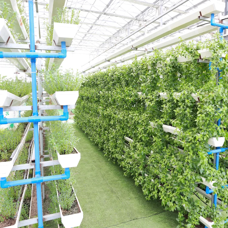 Hydroponic System for Agriculture