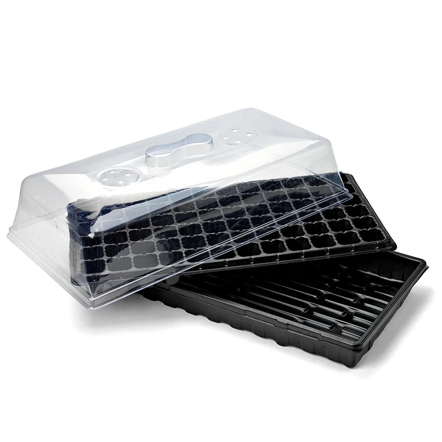 CHIN UP plants paper barley grow hydroponic float germination seed propagation tray