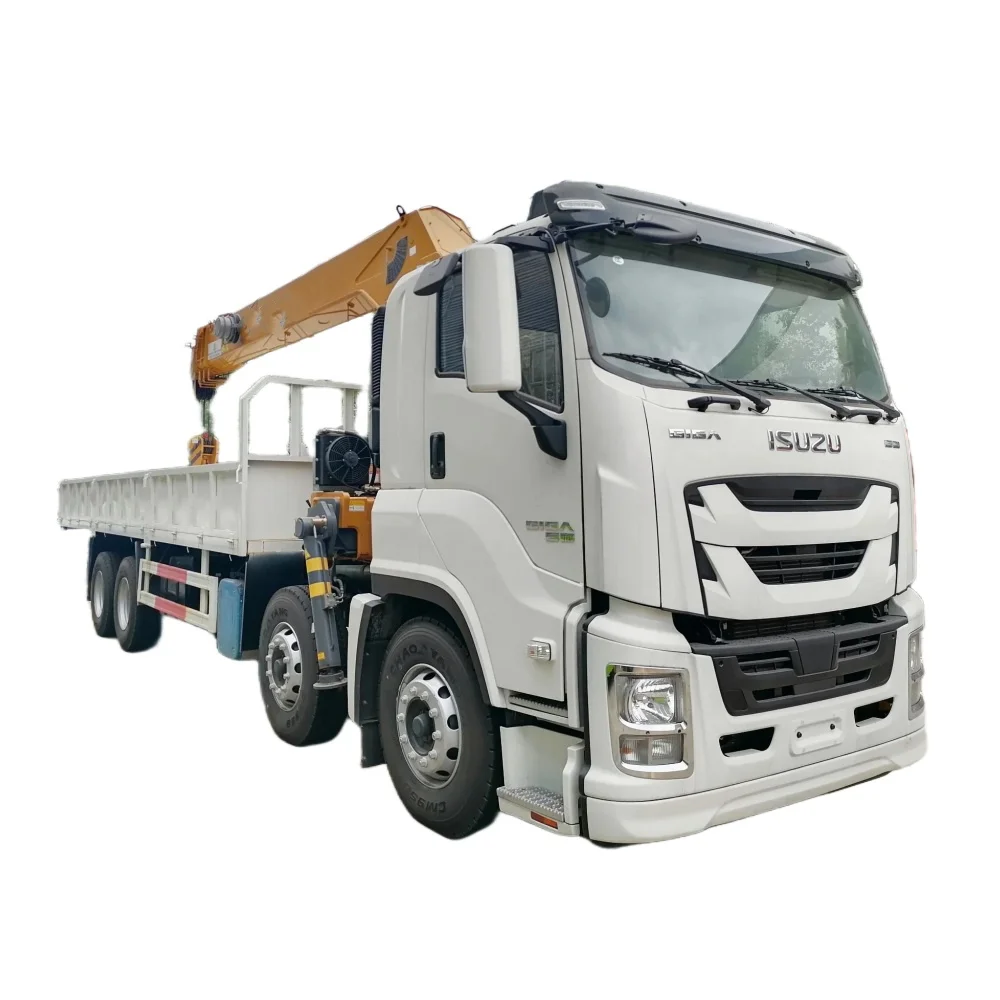 Лидер продаж кран Giga 8*4 isuzu 8 тонн 10 Грузовые Краны 200 л.с. 270 7 м коробка
