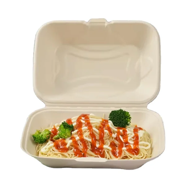 Disposable Bagasse Pulp Food Container Biodegradable Sugarcane Bento Lunch Box With Lid