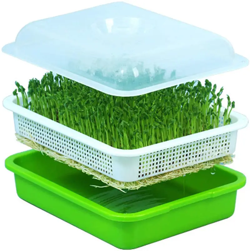 Sprout Bean vegetable planting with high cover lid heat preservation and moisturizing seedling tray soilless cultivation kit