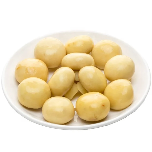 sour whole mushroom canned food with jars