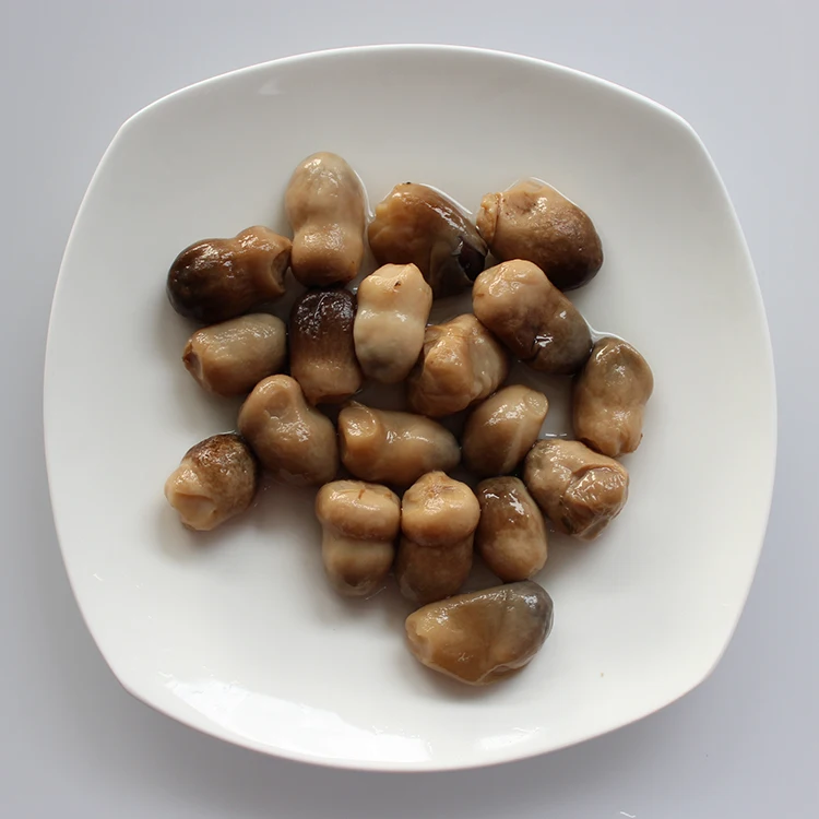 Delicious Chinese Whole Food Slice 425g Straw Delicious Canned Mushroom straw mushroom canned Canned Mushrooms Pieces