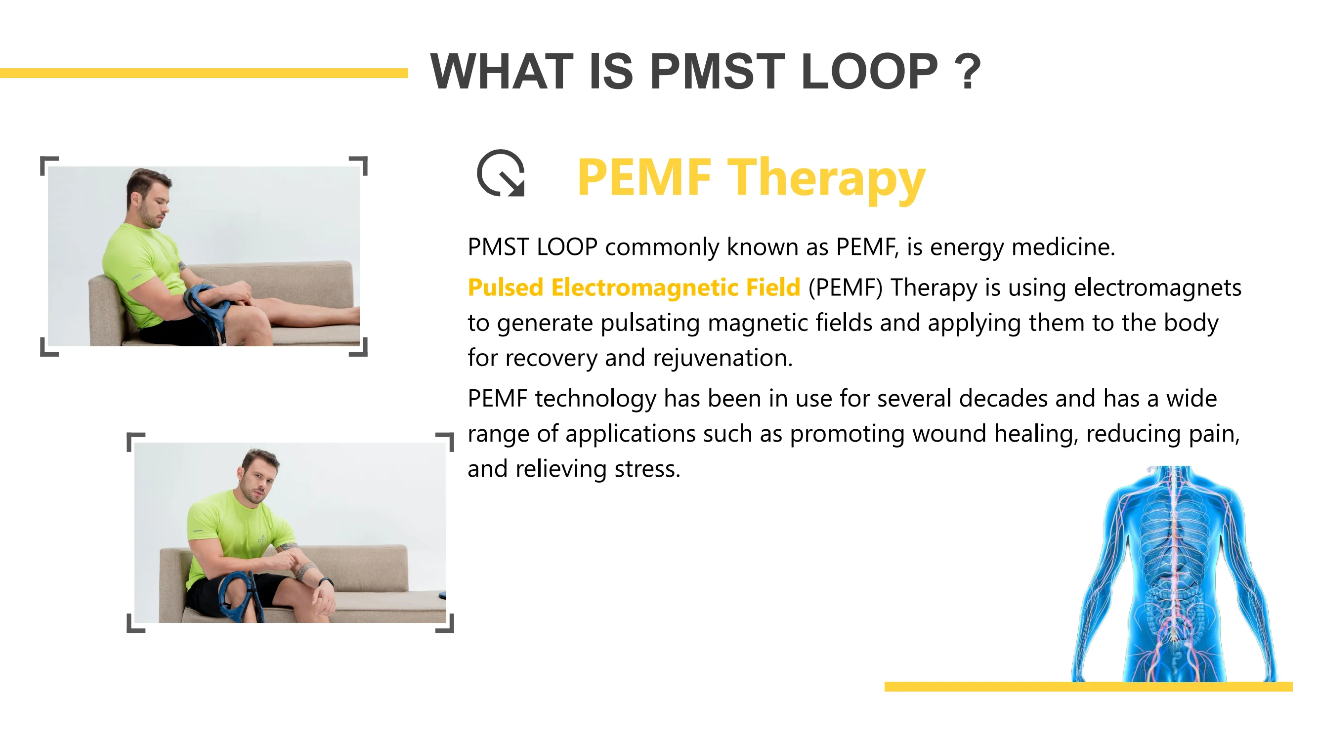 Pemf Pmst loop_02.png