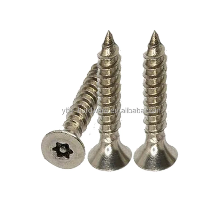High Quality Din 571 Stainless Steel 304/316 Plain Hex Lag Screws Ansi B 18.2.1 ITorx Csk Head Tapping Screw