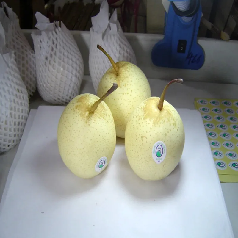 High Quality Export Chinese Fresh Yellow Ya Pear For Sale With Cheap Price