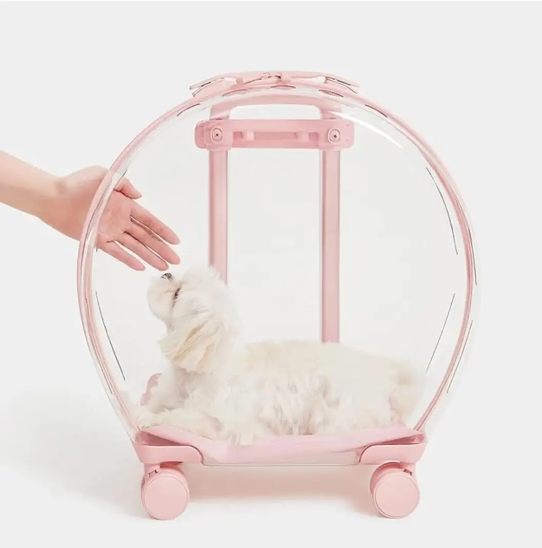 Pet Carrier with 2 Mats Clear Trolley pet Carrier