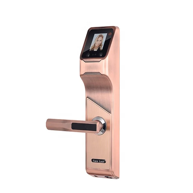 
Profession Zink Alloy fingerprint locking mailboxes Face recognitio smart lock door outdoor 