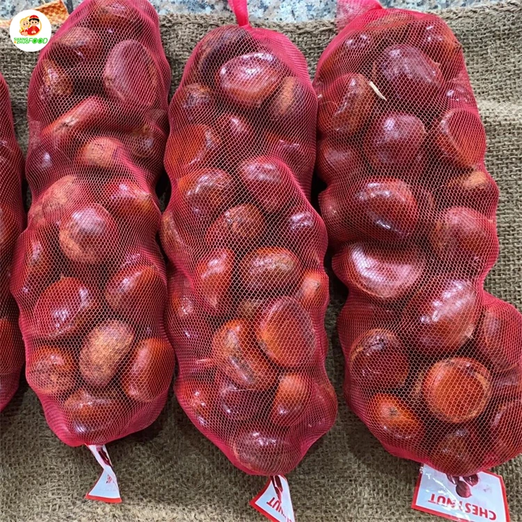 Factory Direct Supplier turkey chestnuts raw Fresh Chestnuts for sale