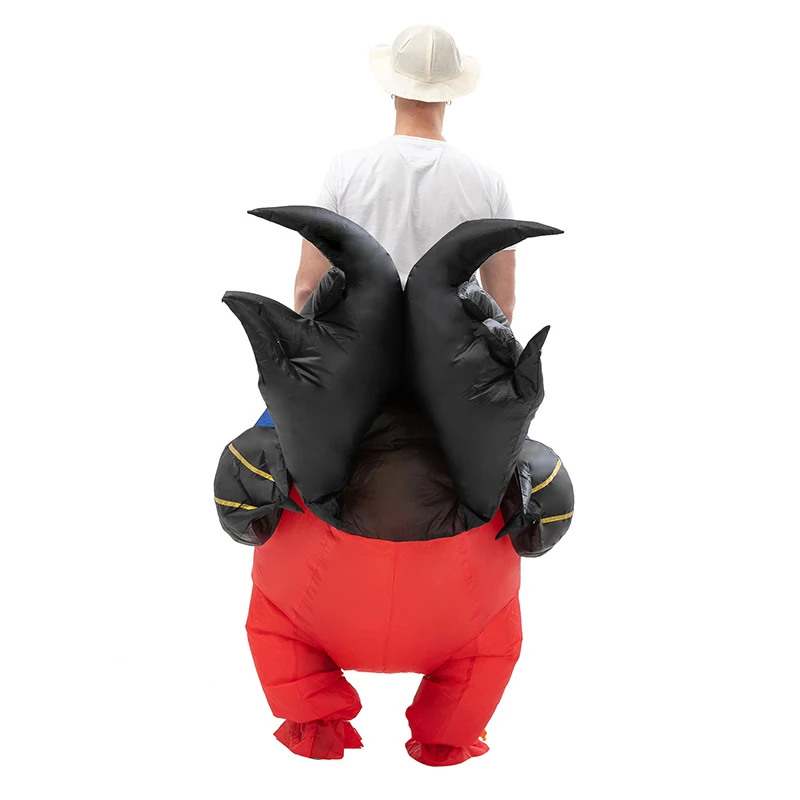 62.jpg