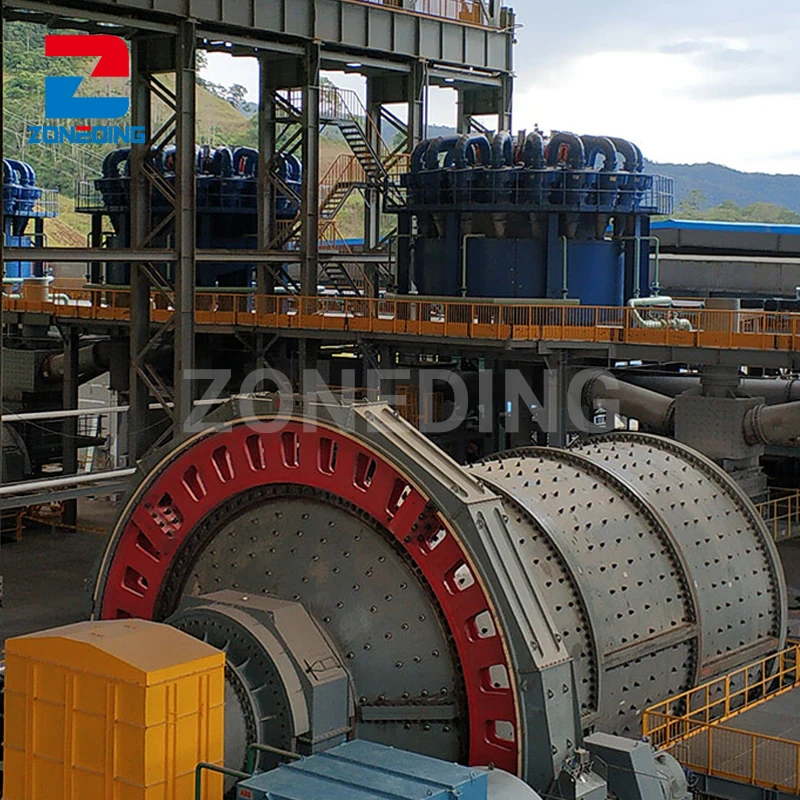 CIL&CIP Iron Ore Processing Plant in Sale Mining Grinding Process Ore Beneficiation 300tpd Gold Ore Beneficiation Plant