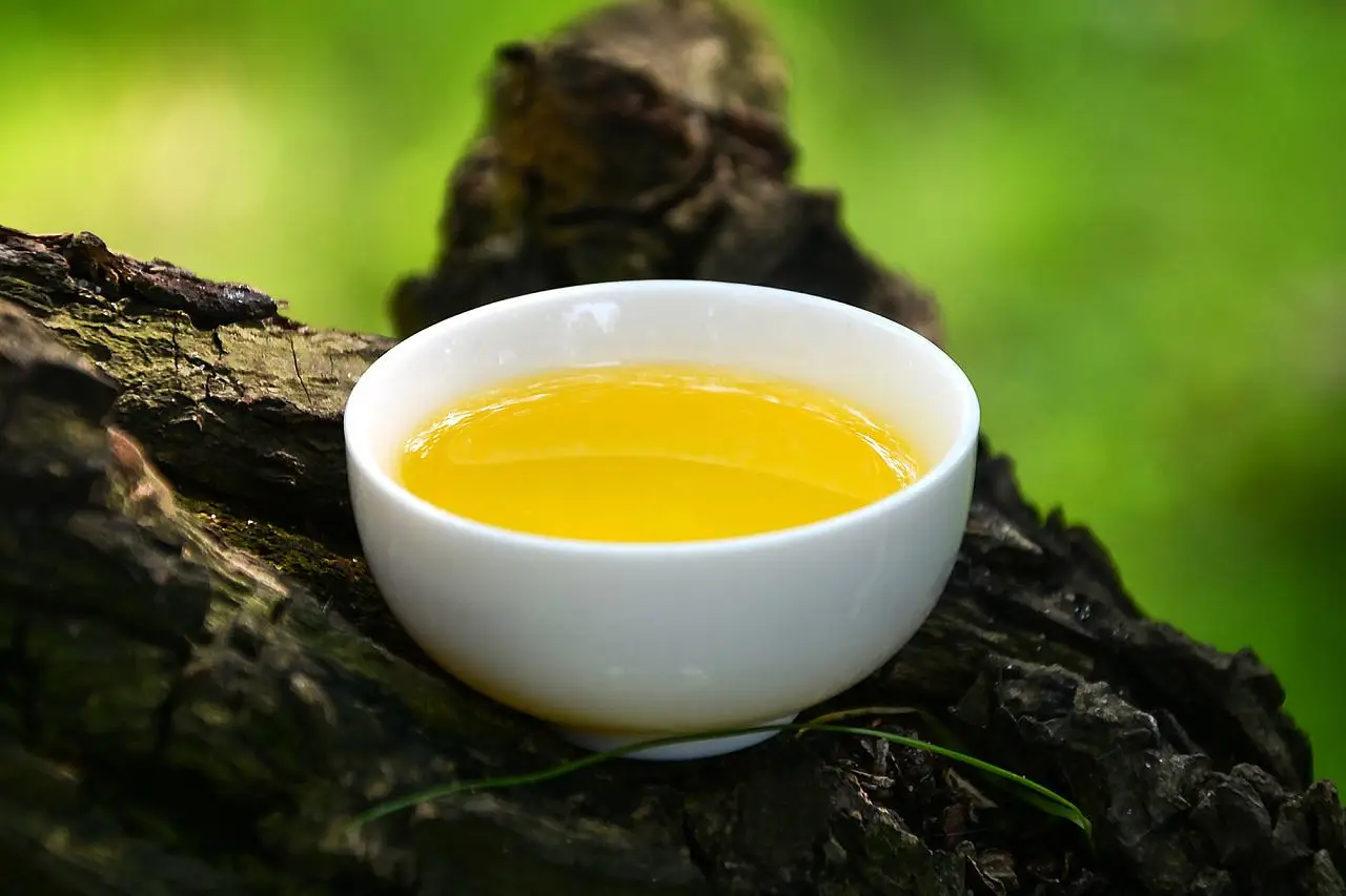 Organic cold pressed wild camellia seed oils baby oil bulk for skin care