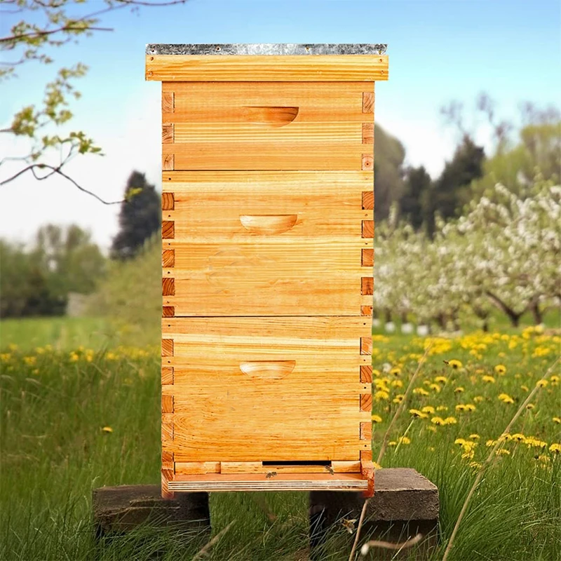 8 Frame Wooden Bee Hives Complete Beehive Kit With 2 Deep Bee Boxes 1 Super Hive Box For Bees Indoor Outdoor Use