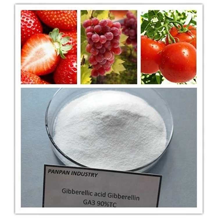 Plant growth hormones ga3 gibberellic acid purity 90 % for sale