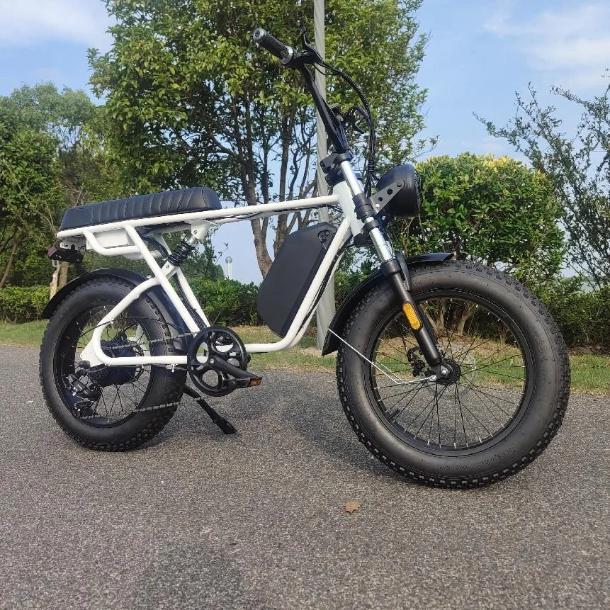 Host Sell 5000w 72v Fat Tire Snow Ebike City Bike   20 Inch  Ebike