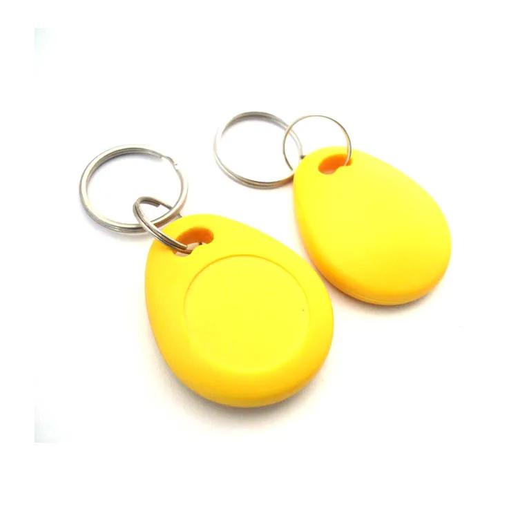 125Khz/13.56Mhz Rewritable  ABS Waterproof NFC Key Tags Rfid Key tags