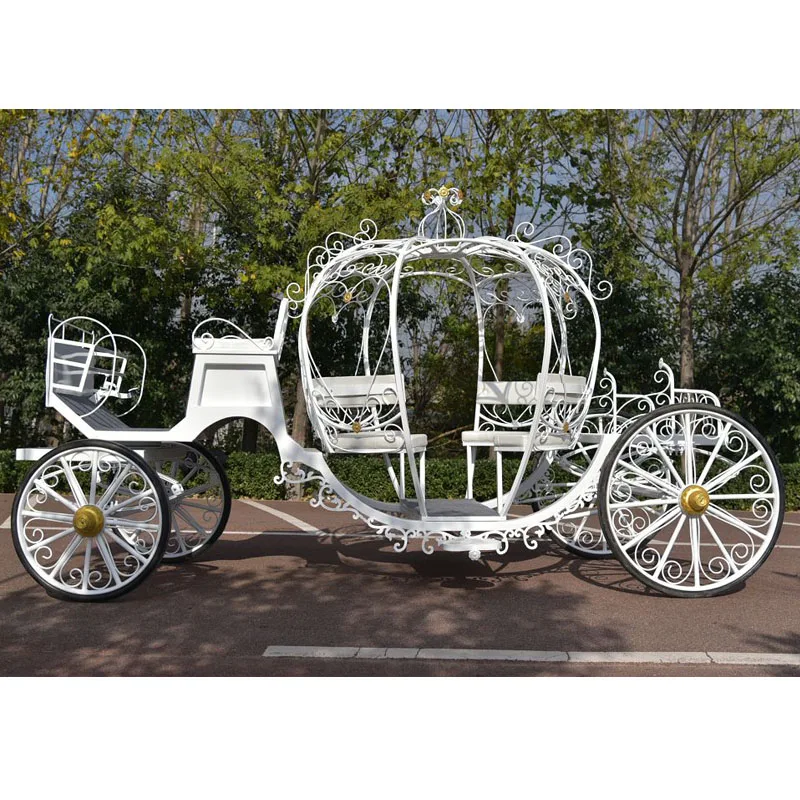 
pony drawn carriage buggy cinderella pumpkin coach  (62434243579)