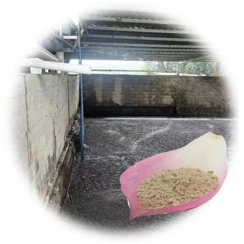 100% натуральные микробные бактерии, фермент, деградация БПК в септической емкости, бытовая очистка сточных вод в туалете