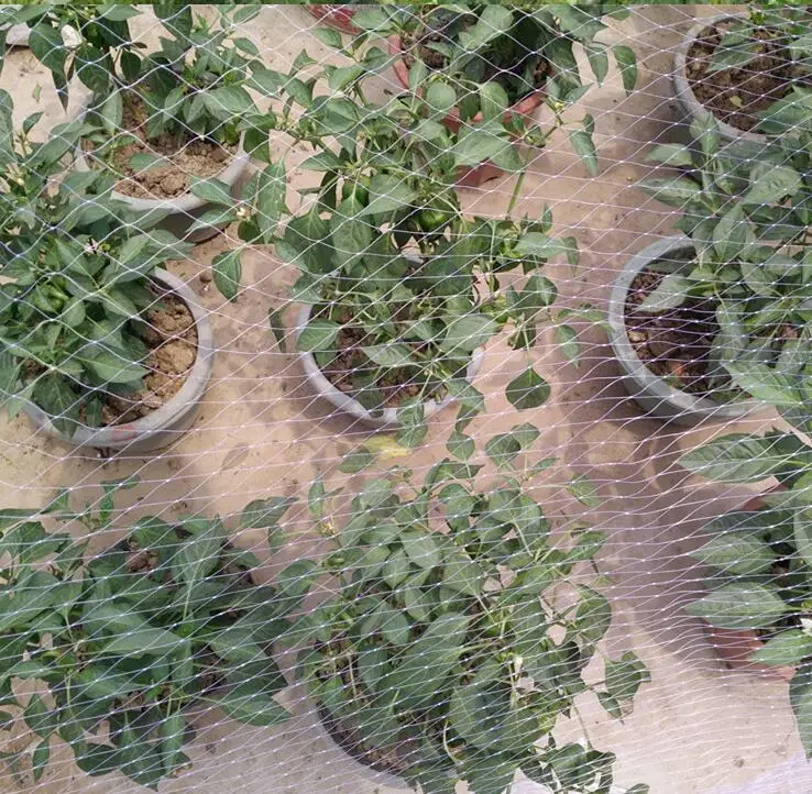Nice Quality Protect Our Plants or Fruits From be attached by birds or other insect Anti-bird Netting