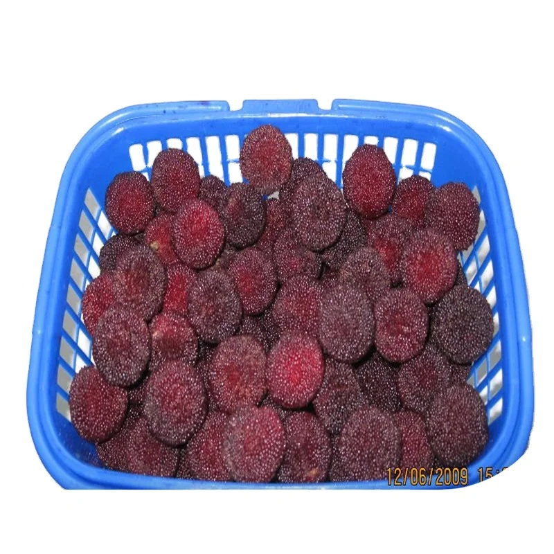 Chinese Fresh waxberry/Bayberry/Arbutus