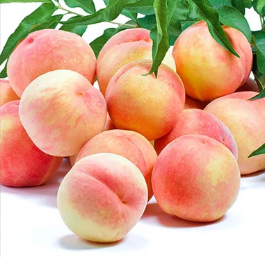 
Hot Selling Fabulous weet Honey Crispy Yummy Peaches 