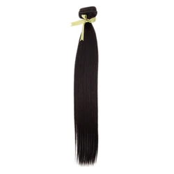 Rebecca 22Inchs Clip in Hair Extensions Long Straight Hairstyle Synthetic Blonde Black Hairpieces Heat Resistant False Hair