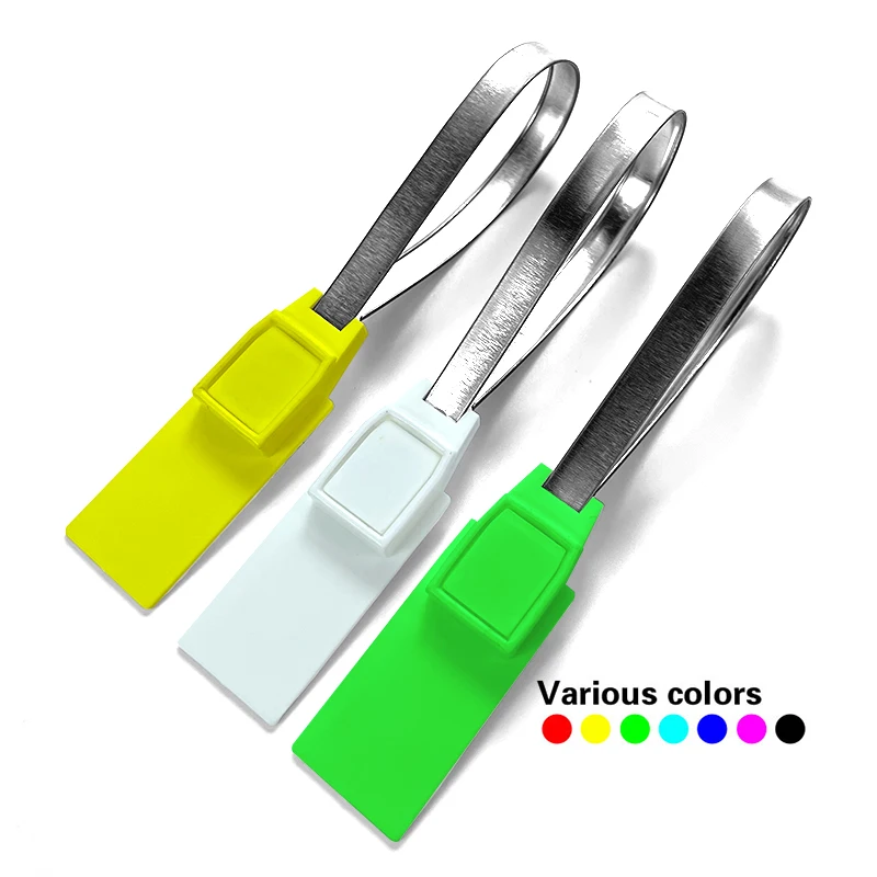 Self-lock Metal Insert Seal Pull Tight Strap with Printing Flat Head Numbered Strip