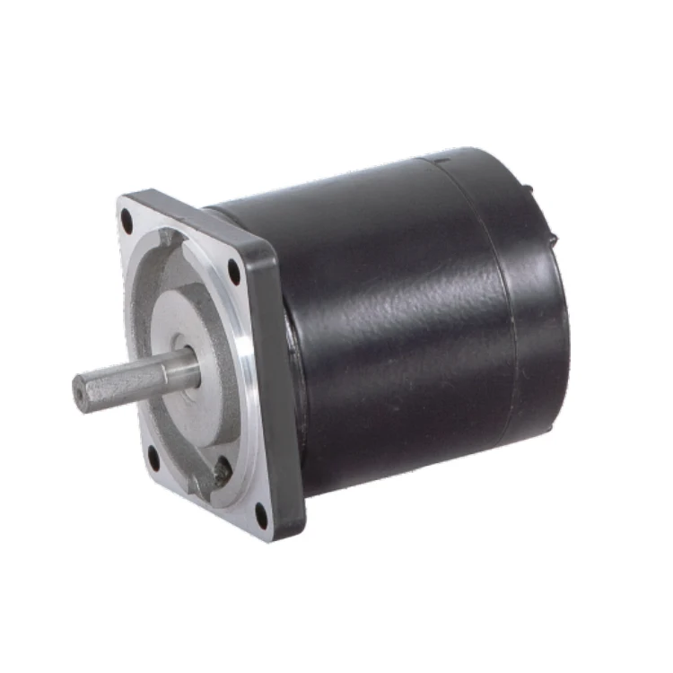63ZYT 12V 24v brushed DC motor 30w 45w 65w 90w 100w 120w 150w for medical equipment