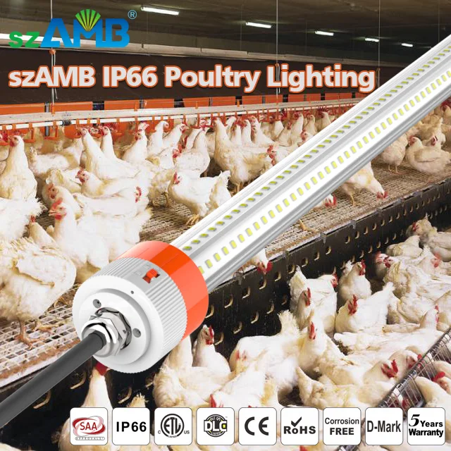 IP66 Waterpoof Dimming Livestock Light Or poultry Farm LED Tube Lighting With 5 Years warranty