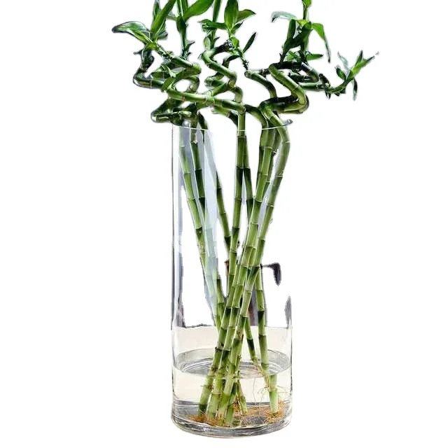 Fast delivery Classic Flower Bottle Glass Cylinder Vase For Home vases decor flower