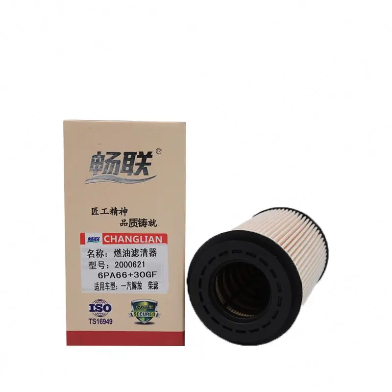 OEM 2000621 Truck Fuel Filter For Liberation F Engine Parts Oil Filter