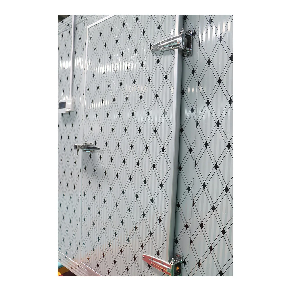 Wholesale customization container freezer cold room fish meat freezer