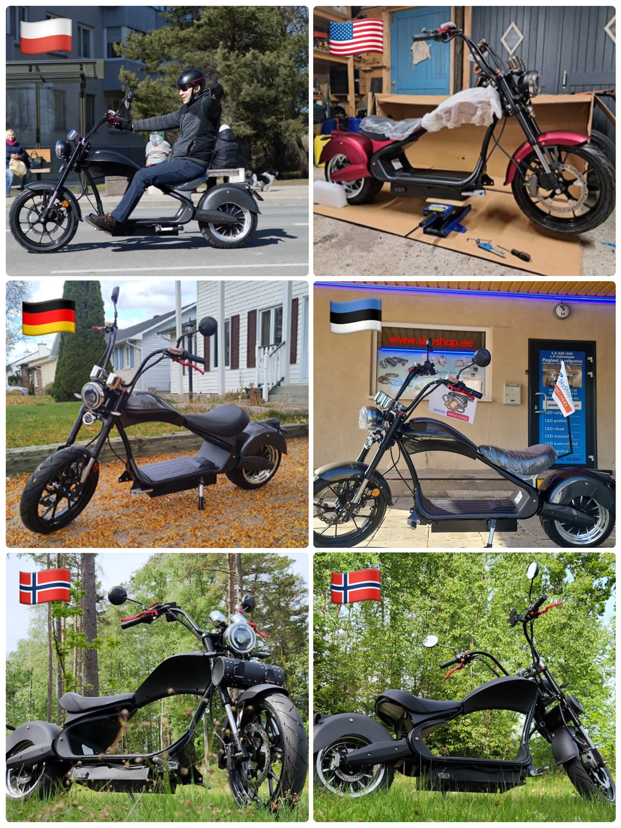 Europe EU COC EEC DOT Drop shipping Electric Ruckus Scooter Mini Citycoco Off Road Motorcycle