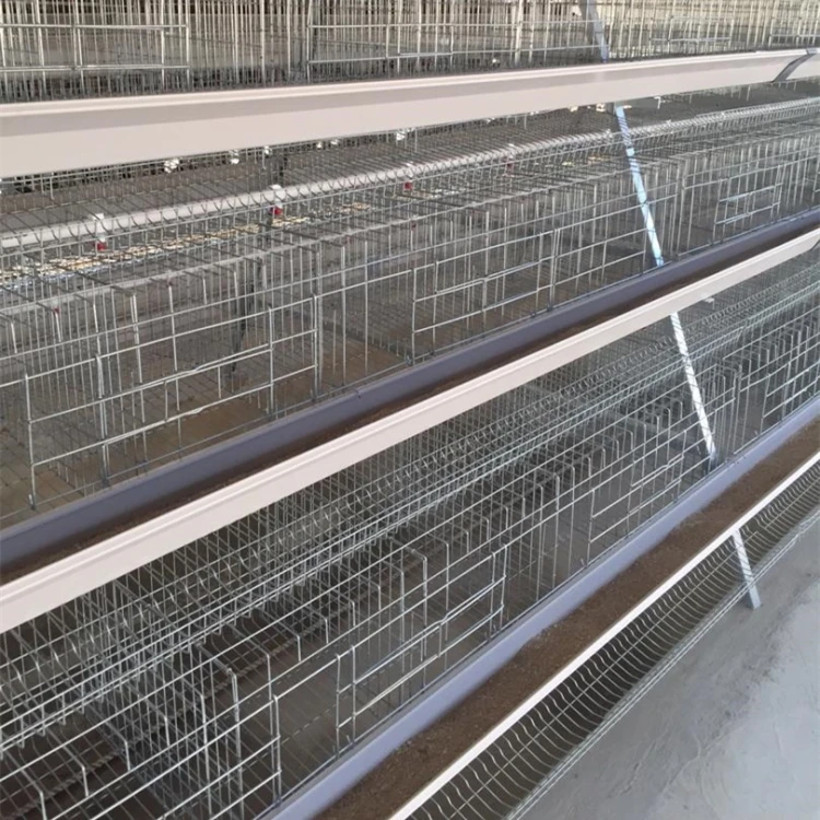 Uganda Poultry Farm Automatic Poultry Chicken Layer Breeding Cage