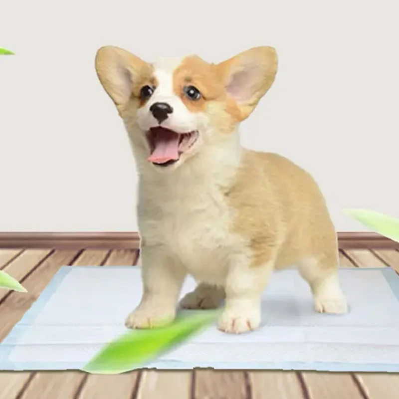 Modern 2024 Disposable Cotton Pet Diapers Novel Design OEM Printed Dog Diapers for Male Female Low Price Free Shipping