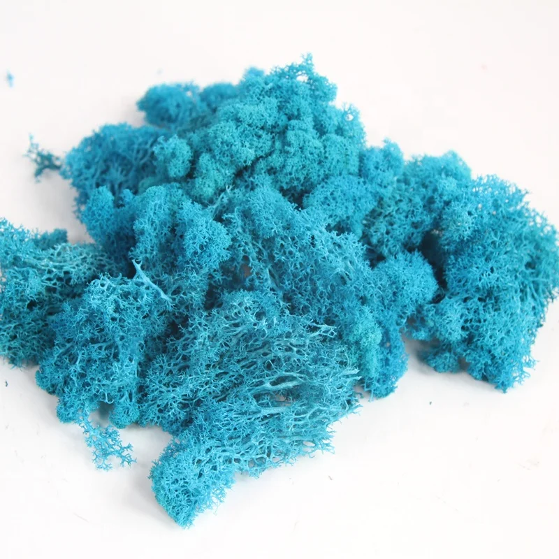 wholesale purple natural non-artificial reindeer preserved moss grass roses flower stabilized for wall decoration