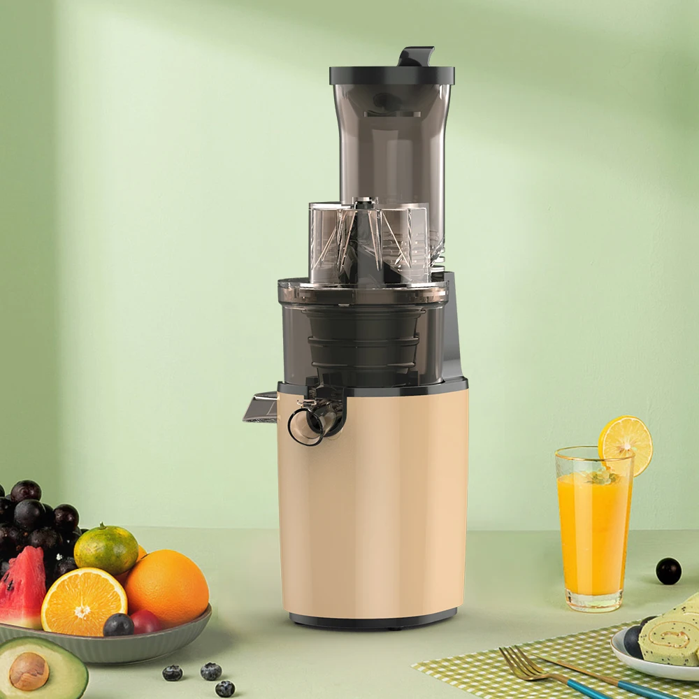 RANBEM Slow Juicer Machine Orange Fruit Vegetable Masticating Cold Press Nutritional Electric Juicers Maker