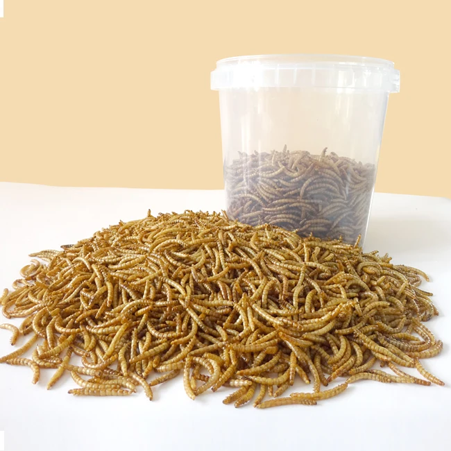 High Nutrition Poultry Chicken Bird Feed Dried Mealworm 800g