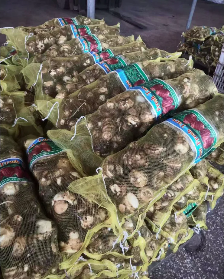 2022 New Crop Fresh Taro Factory Price Hot Sale Fresh Taro From China