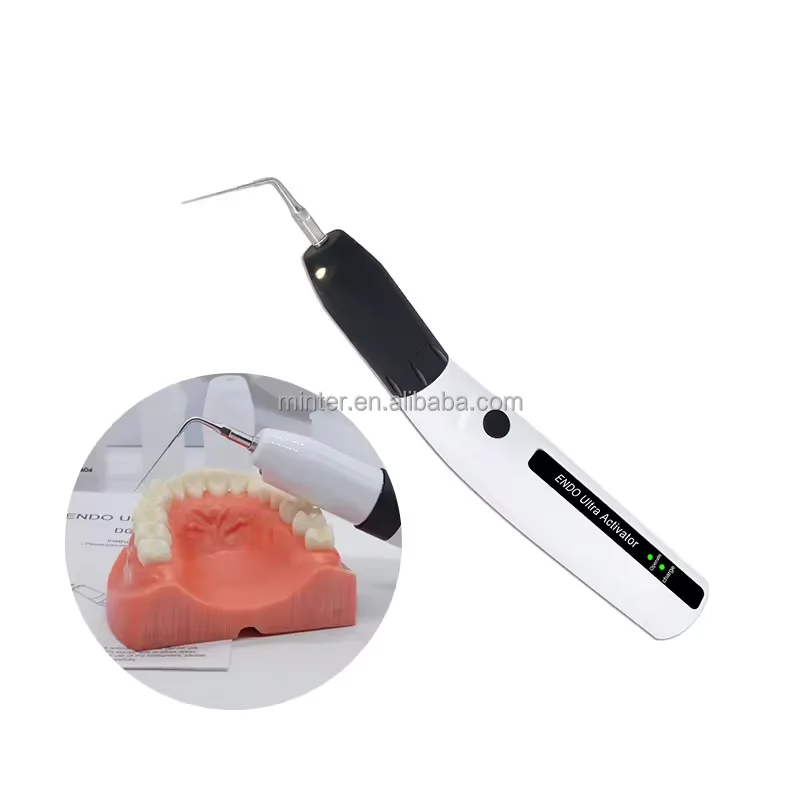 Factory Direct Supply Dentistry Sonic Cleaning Irrigating Activator Cordless Ultrasonic Dental Endo Root Canal Activator