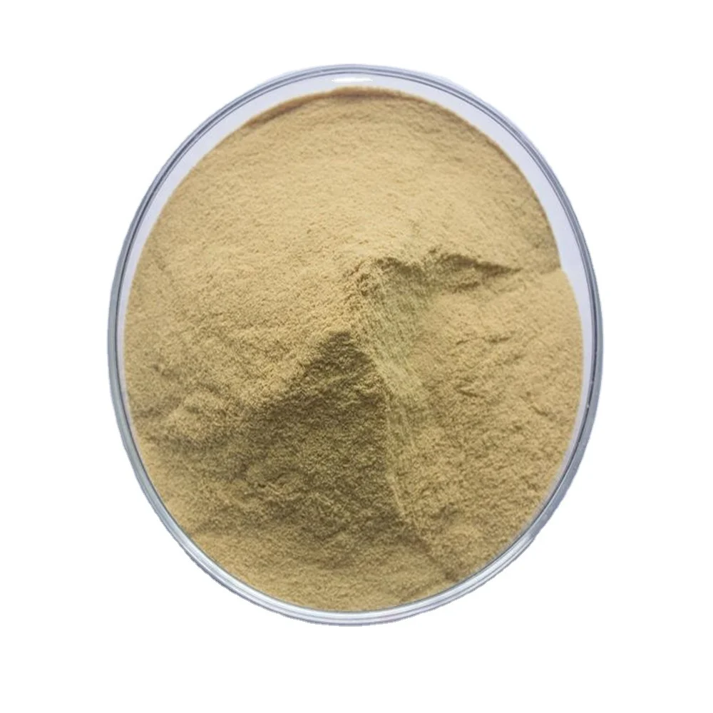 High Quality Luo Han Guo Extract Powder Mogroside V 80% Luo Han Guo Extract