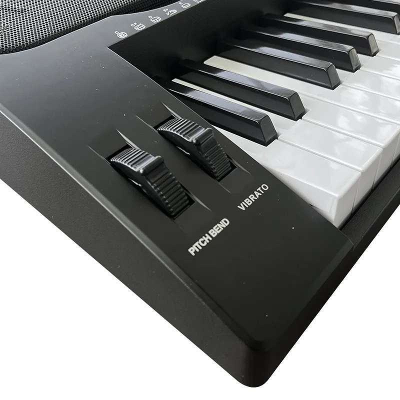 Aiersi Electronic Piano 61-Key Simulation Piano Keys Touch Function MIC Jack Professional Portable Electronic Organ for Teacher