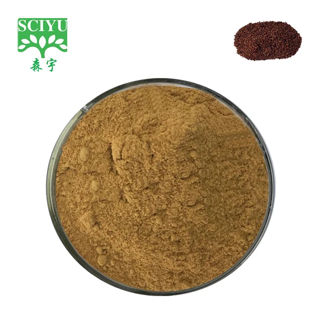 Factory Supply 10:1 Perilla Seeds Extract Powder Perilla Frutescens Extract