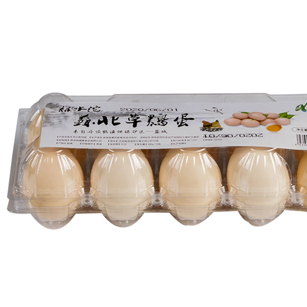 Wholesale Packing Storage Box Pulp Moulding Processing Transparent Disposable Plastic Egg Tray